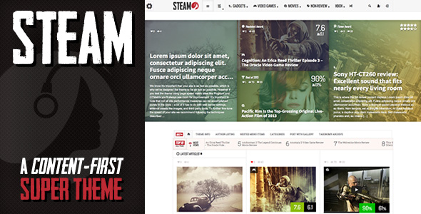 Steam WordPress theme review