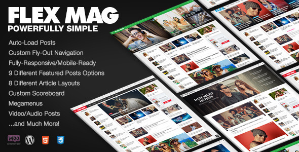 flex mag wordpress theme review